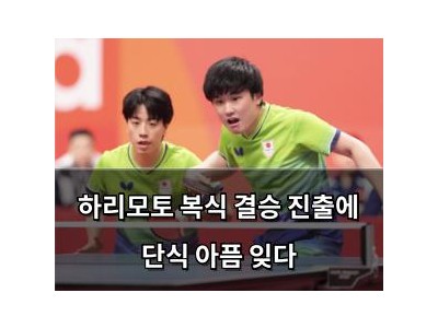 하리모토 복식 결승 진출에 단식 아픔 잊다