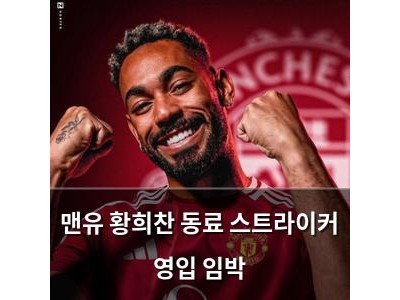 맨유 황희찬 동료 스트라이커 영입 임박