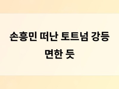 손흥민 떠난 토트넘 강등 면한 듯