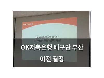 OK저축은행 배구단 부산 이전 결정