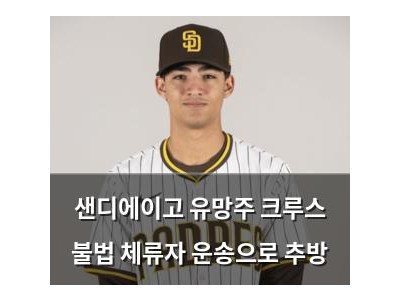 샌디에이고 유망주 크루스 불법 체류자 운송으로 추방