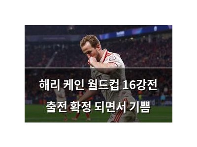 해리 케인 월드컵 16강전 출전 확정 되면서 기쁨