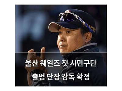 울산 웨일즈 첫 시민구단 출범 단장 감독 확정
