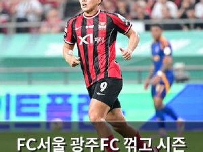 FC서울 광주FC 꺾고 시즌 끝나지 않았다