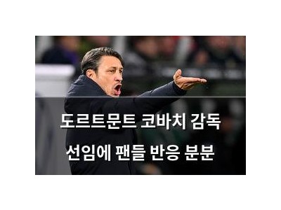 도르트문트 코바치 감독 선임에 팬들 반응 분분