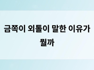 금쪽이 외톨이 말한 이유가 뭘까