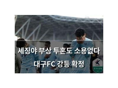 세징야 부상 투혼도 소용없다 대구FC 강등 확정