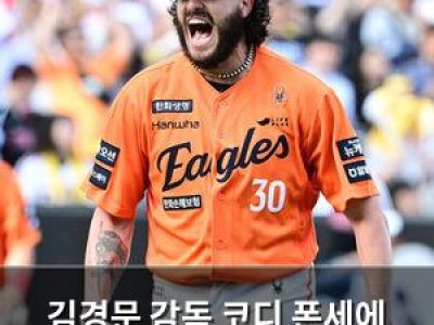 김경문 감독 코디 폰세에 기대 거는 이유