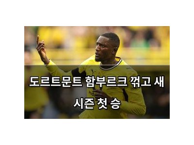 도르트문트 함부르크 꺾고 새 시즌 첫 승