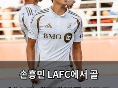 손흥민 LAFC에서 골 넣으며 대표팀 합류 앞두고 컨디션 끌어올려